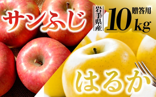 【先行予約】令和6年産 りんご サンふじ×はるか 贈答用 10kg（計32個程度） 岩手県 金ケ崎町産 12月上旬発送予定 1051716 - 岩手県金ケ崎町