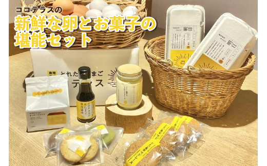 ココテラスの新鮮な卵とお菓子の堪能セット 968029 - 愛知県常滑市