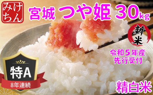 新米先行受付＞令和5年産 宮城県産つや姫 精白米30kg ◇8年連続最高