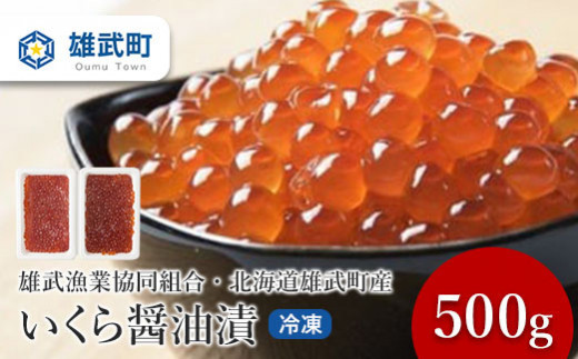 中国禁輸措置生産地緊急支援品】いくら醤油漬（冷凍）250g×２【07106