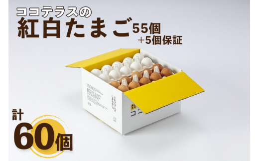 紀州かつらぎ山の食べやすい干し柿 化粧箱入 25g×10個 - 和歌山県広川
