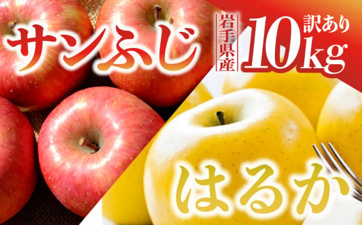 【先行予約】 りんご サンふじ×はるか 訳あり 10kg 岩手県 金ケ崎町産 12月上旬発送予定 1051720 - 岩手県金ケ崎町