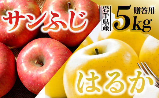 【先行予約】令和6年産 りんご サンふじ×はるか 贈答用 5kg（計16個程度） 岩手県 金ケ崎町産 12月上旬発送予定 1051714 - 岩手県金ケ崎町