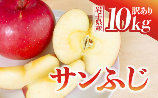 【先行予約】令和6年産 りんご サンふじ 訳あり 10kg  岩手県 金ケ崎町産 11月下旬発送予定 1051214 - 岩手県金ケ崎町