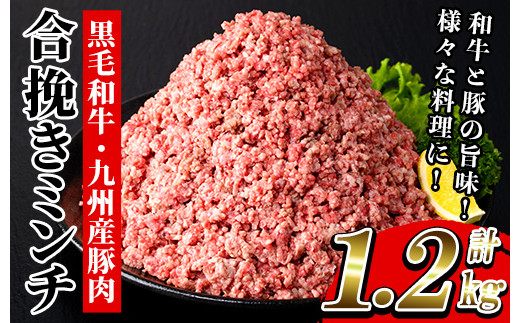 A-1524H 黒毛和牛と九州産豚肉を使用した合挽きミンチ(300g×4P・計1.2kg) 1049825 - 鹿児島県いちき串木野市