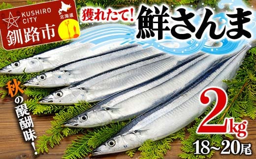 獲れたて鮮さんま 2kg (18～20尾) さんま 秋刀魚 サンマ 新鮮 魚 鮮魚 海産物 旬 北海道 釧路 F4F-3229 474123 - 北海道釧路市