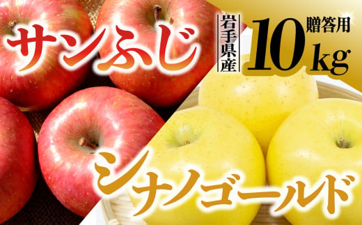 【先行予約】令和6年産 りんご サンふじ×シナノゴールド 贈答用 10kg 岩手県 金ケ崎町産 11月下旬発送予定 1051715 - 岩手県金ケ崎町