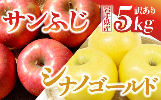 【先行予約】令和6年産 りんご サンふじ×シナノゴールド 訳あり 5kg 岩手県 金ケ崎町産 11月下旬発送予定 1051717 - 岩手県金ケ崎町