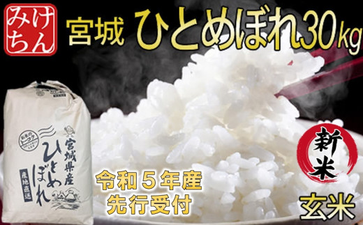 ＜新米先行受付＞令和5年産　宮城県産ひとめぼれ 玄米30kg【1283891】|米・雑穀のみちのく農業研究所