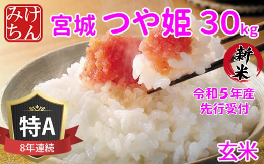 新米先行受付＞令和5年産 宮城県産つや姫 玄米30kg ◇8年連続最高評価 ...