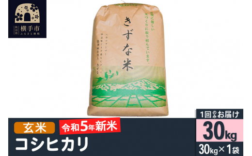 令和5年産新米】【玄米】令和5年産 秋田県産 コシヒカリ 30kg(30kg×1袋