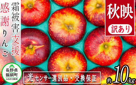 令和６年度先行予約品】 りんご １０月発送 10kg （２４〜５０玉