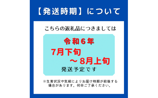 「守安さんのアールスメロン」1玉（大玉）岡山県総社市産【2024年産先行予約】24-012-001