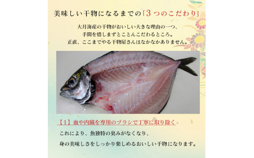 定期便】大月海の幸セット 計4回 1059216 - 高知県大月町 | au PAY