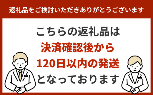 沖縄の観葉植物　人気のフィカス　アルテシマ8号　シュエット鉢ポット