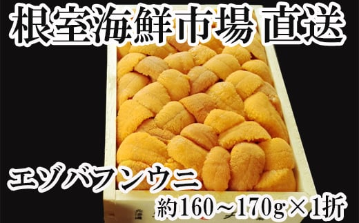 C-11038 【12月8日決済分まで年内配送】 エゾバフンウニ(黄系)160～170g×1折 1051370 - 北海道根室市