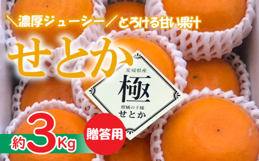 愛媛県産】せとか 秀品 12個 約3Kg ＜2月下旬～発送予定＞ 柑橘 みかん