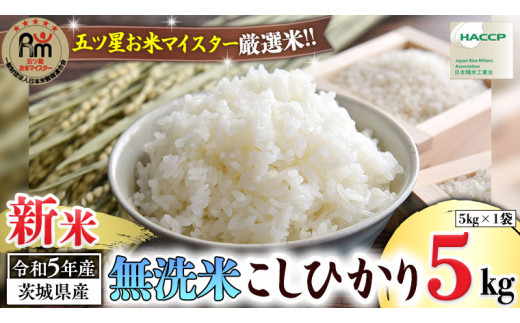 令和5年産 》 茨城県産 無洗米 コシヒカリ ( 5kg × 1袋 ) 期間限定