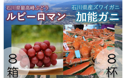 石川県かほく市のふるさと納税 お礼の品ランキング【ふるさとチョイス】