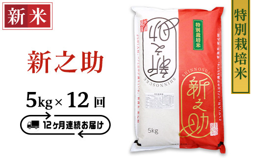 B7-35【12ヶ月連続お届け】長岡産新之助5kg（特別栽培米）