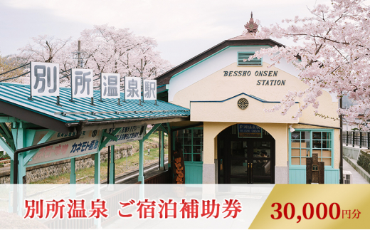 山ノ内町内宿泊補助券（6枚）1年間有効 30,000円分 【旅行 宿泊券