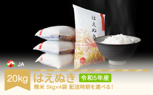 米 新米 20kg 5kg×4 はえぬき 精米 令和5年産 2024年7月上旬 ja