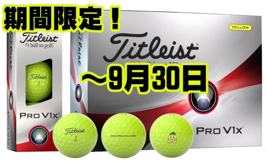 titleist　PRO  V1 YELLOW　　ゴルフボール　２ダースセット