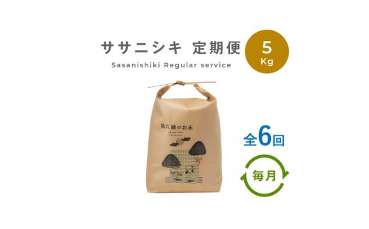 定期便6回】 無肥料 無農薬 の ササニシキ 白米 精米 5kg 勘六縁 の お