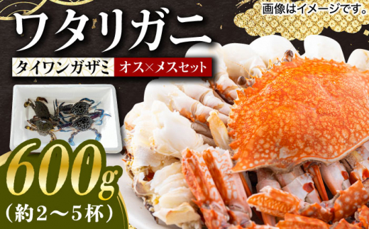 30セット限定！予約受付】豊前海産 タイワンガザミ 600g (2～5杯前後