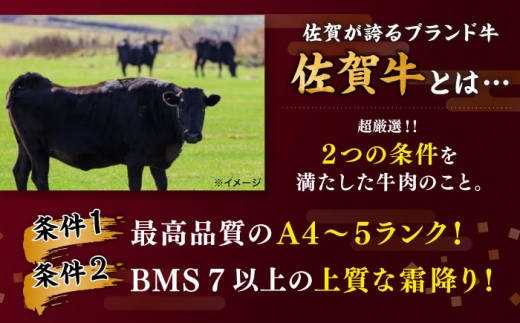 佐賀県白石町のふるさと納税 【贅沢部位】佐賀牛 おまかせ ステーキ 500g【川﨑畜産】 [IAX035]