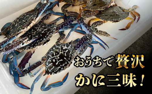 30セット限定！予約受付】豊前海産 タイワンガザミ 1kg (4～7杯前後