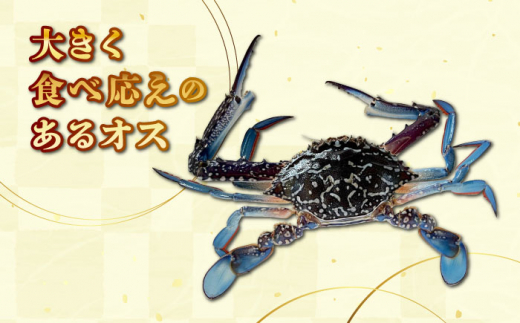 【30セット限定！予約受付】豊前海産 タイワンガザミ 1kg (4～7杯前後) オス メス セット 《築上町》【明青丸】 ワタリガニ 渡り蟹 蟹 カニ  [ABCB002] 12000円