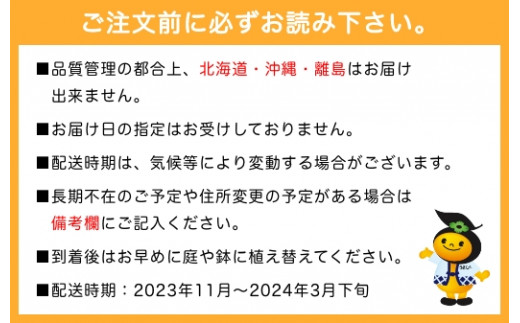 P681-05 JAにじ 栗(ぽろたんと受粉樹) 苗木2本