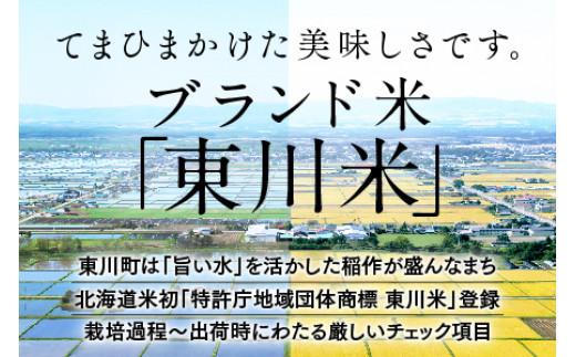 【12回定期便】東川米 「ゆめぴりか」無洗米 5kg