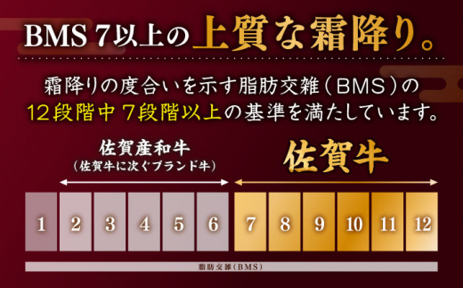 佐賀県白石町のふるさと納税 【贅沢部位】佐賀牛 おまかせ ステーキ 500g【川﨑畜産】 [IAX035]