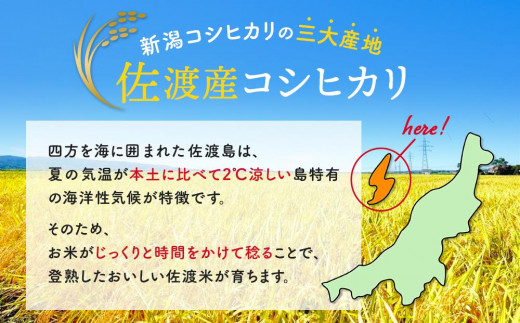 新米・先行予約】佐渡羽茂産コシヒカリ そのまんま真空パック 900g×12