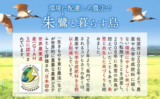 新米・先行予約】佐渡羽茂産コシヒカリ そのまんま真空パック 900g×12