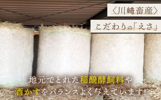 佐賀県白石町のふるさと納税 【贅沢部位】佐賀牛 おまかせ ステーキ 500g【川﨑畜産】 [IAX035]