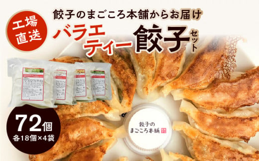 バラエティー餃子4袋セット 338685 - 福岡県久留米市