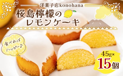 桜島檸檬のレモンケーキ　K236-001 1053315 - 鹿児島県鹿児島市
