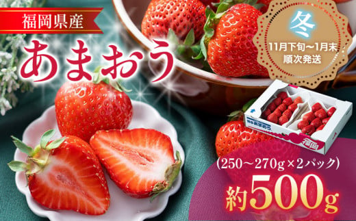 あまおう 福岡産【冬】あまおう 2パック 合計約500g～540g （1パックあたり約250g～約270g） いちご 苺 果物 フルーツ 九州産 福岡県産 冷蔵 送料無料【11月下旬発送開始予定】 1053383 - 福岡県志免町