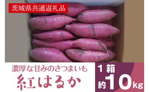 濃厚な甘みさつまいも 紅はるか10kg(茨城県共通返礼品・行方市産)