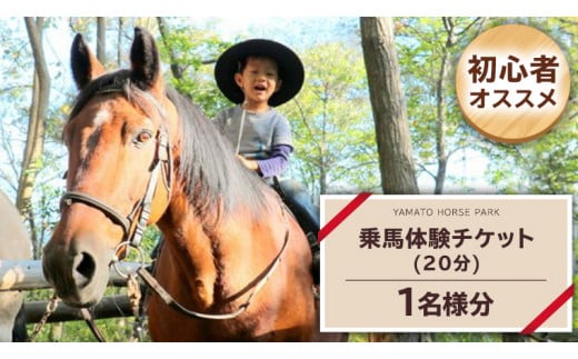 乗馬体験１回コース（20分）  乗馬 トレッキング 体験チケット アウトドア  [DE007sa] 1053073 - 茨城県桜川市