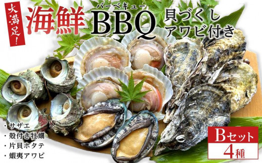 【先行予約】大満足！京丹後・海鮮BBQ　Bセット　貝づくし蒸しアワビ付　4種14品（3～4人前）（2024年4月下旬～発送）　YK00107