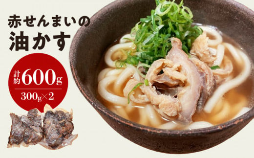 No.016 KASUYA 冷凍かすうどんと肉煮込み詰合せ ／ 肉うどん 饂飩 つゆ