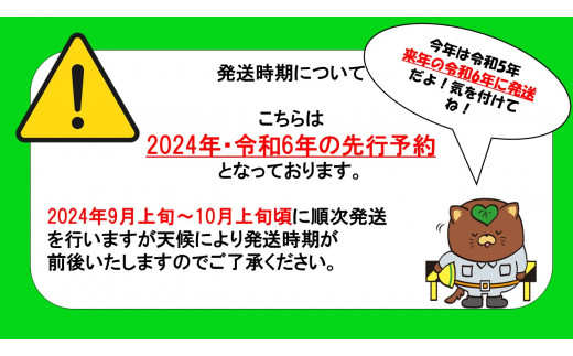 【✩先行予約✩2024年/令和6年発送分】『特別栽培』自然塾夏のシャインマスカット（約1.2㎏）　[山梨 シャインマスカット]