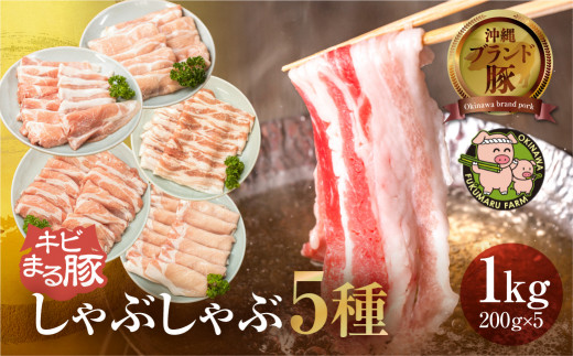 【沖縄県ブランド豚】『キビまる豚』豚肉の詰め合わせ5種セット1kg（小分け）