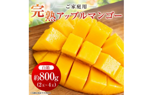 沖縄 の 豚の角煮 らふてぃ 310g×10袋(波照間産黒糖使用) じっくり