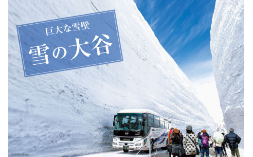 立山黒部アルペンルート ( 立山駅 ～ 扇沢駅 ※片道 ) 優待券 / 立山