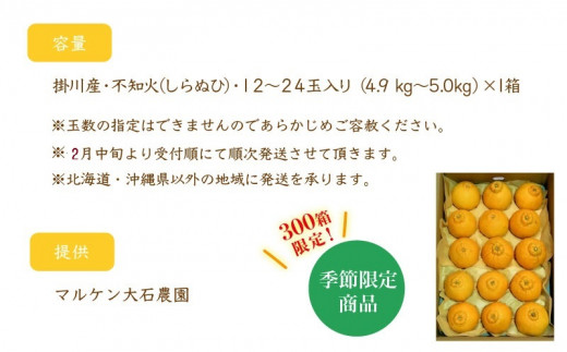 ５２０３ 掛川産・不知火（シラヌヒ)１２～２４玉×1箱・約4.９ｋｇ